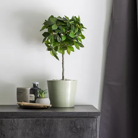 Selea - Sea View Penthouse *