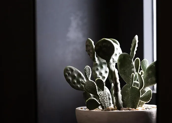 Selea - Sea View Penthouse Ρέθυμνο